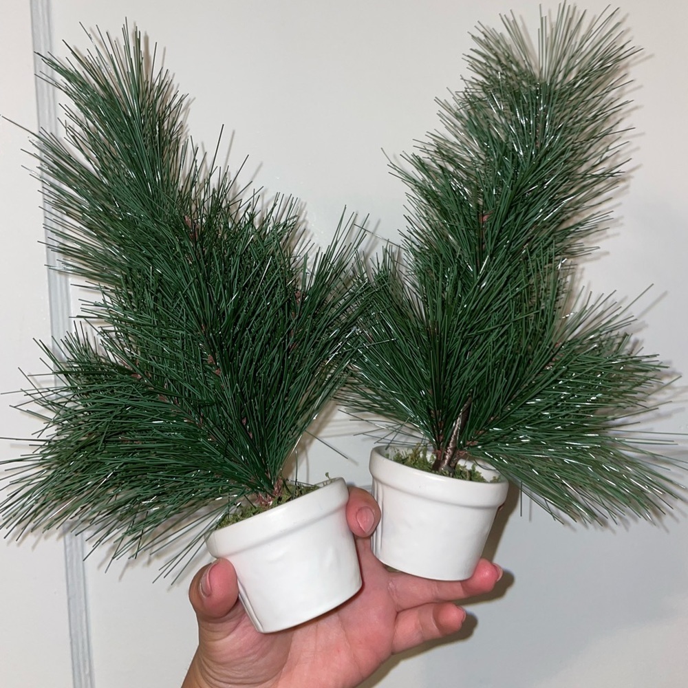 2 Target Table Top Small tree